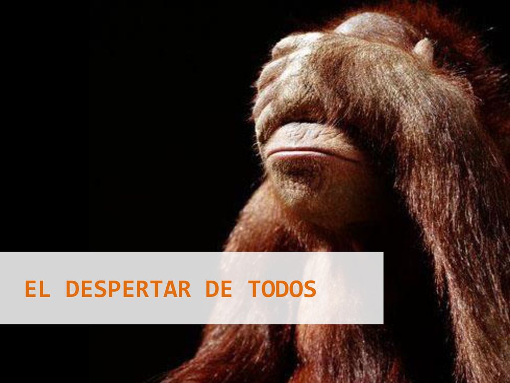 No podemos taparnos los ojos, no podemos tapar el sol con un dedo y lo que cada uno de nosotros hacemos importa.