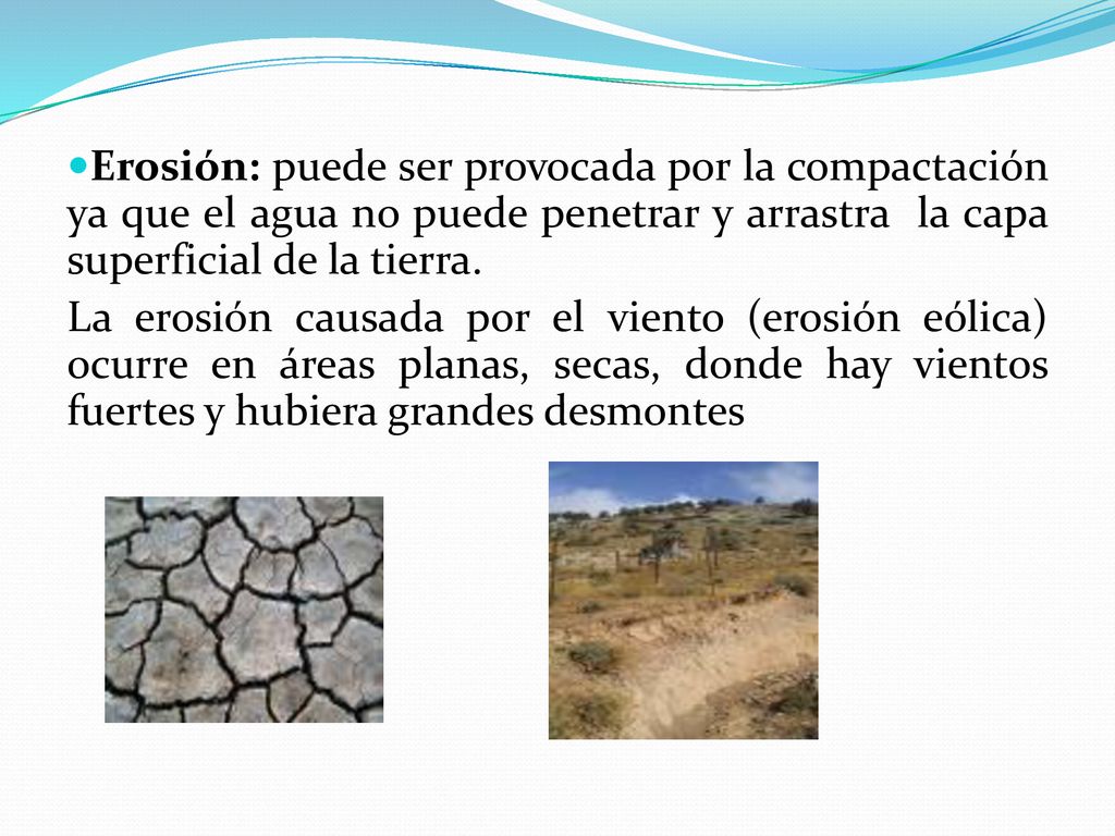 Erosión: puede ser provocada por la compactación ya que el agua no puede penetrar y arrastra la capa superficial de la tierra.