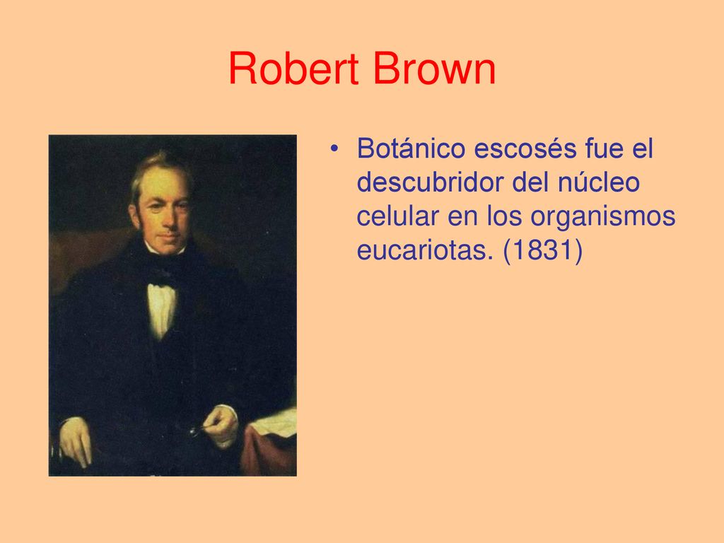 Robert Brown Botánico escosés fue el descubridor del núcleo celular en los organismos eucariotas. (1831)