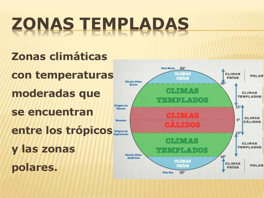 Zonas Templadas Zonas climáticas con temperaturas moderadas que se encuentran entre los trópicos y las zonas polares.