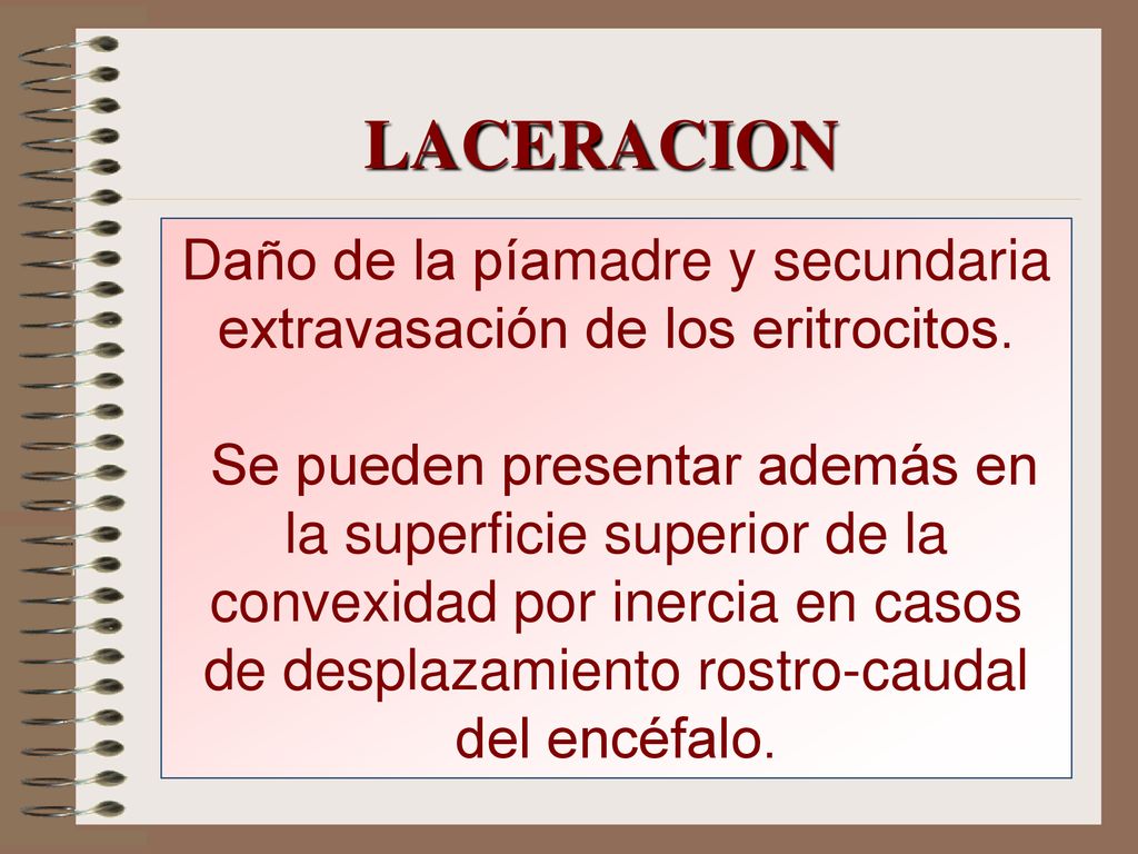 Daño de la píamadre y secundaria extravasación de los eritrocitos.