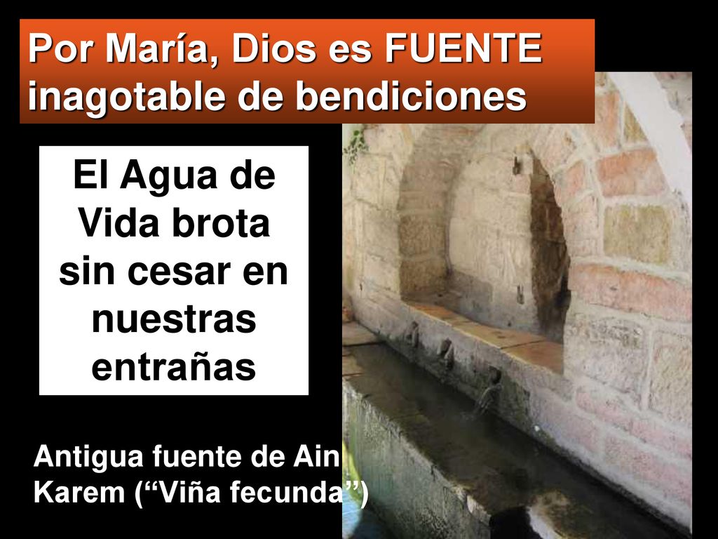 El Agua de Vida brota sin cesar en nuestras entrañas