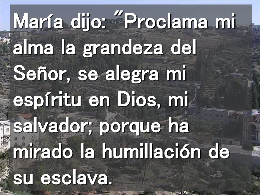 María dijo: Proclama mi alma la grandeza del Señor, se alegra mi espíritu en Dios, mi salvador; porque ha mirado la humillación de su esclava.