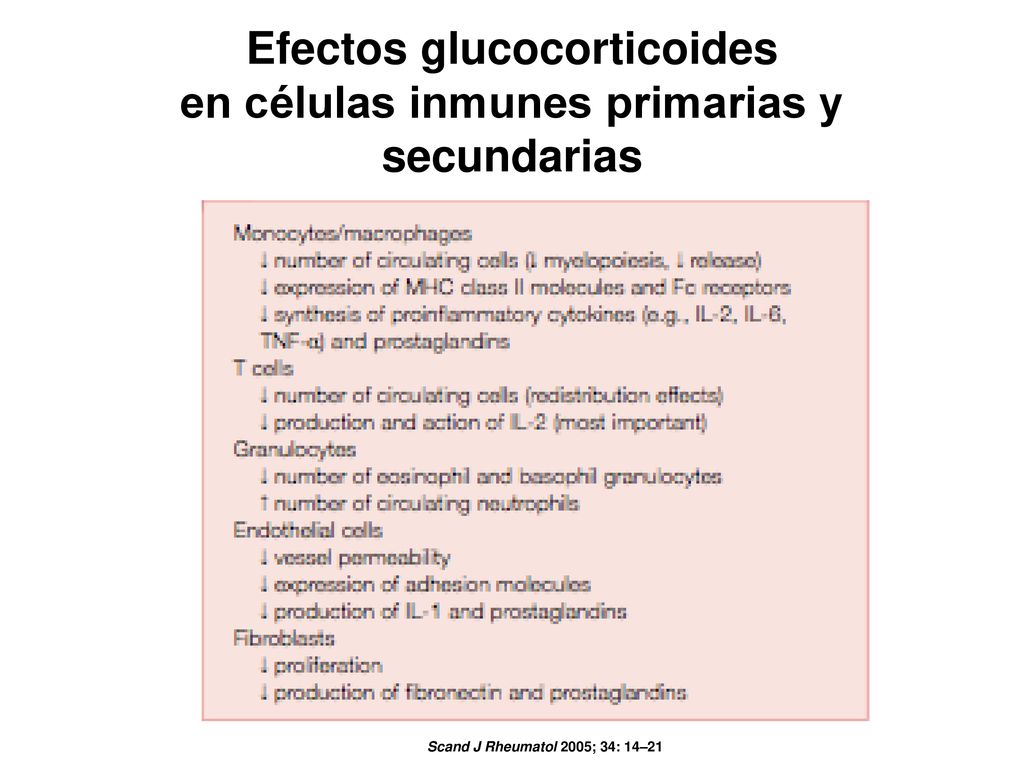 Efectos glucocorticoides en células inmunes primarias y secundarias