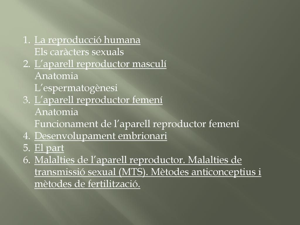 La reproducció humana Els caràcters sexuals. L’aparell reproductor masculí. Anatomia. L’espermatogènesi.