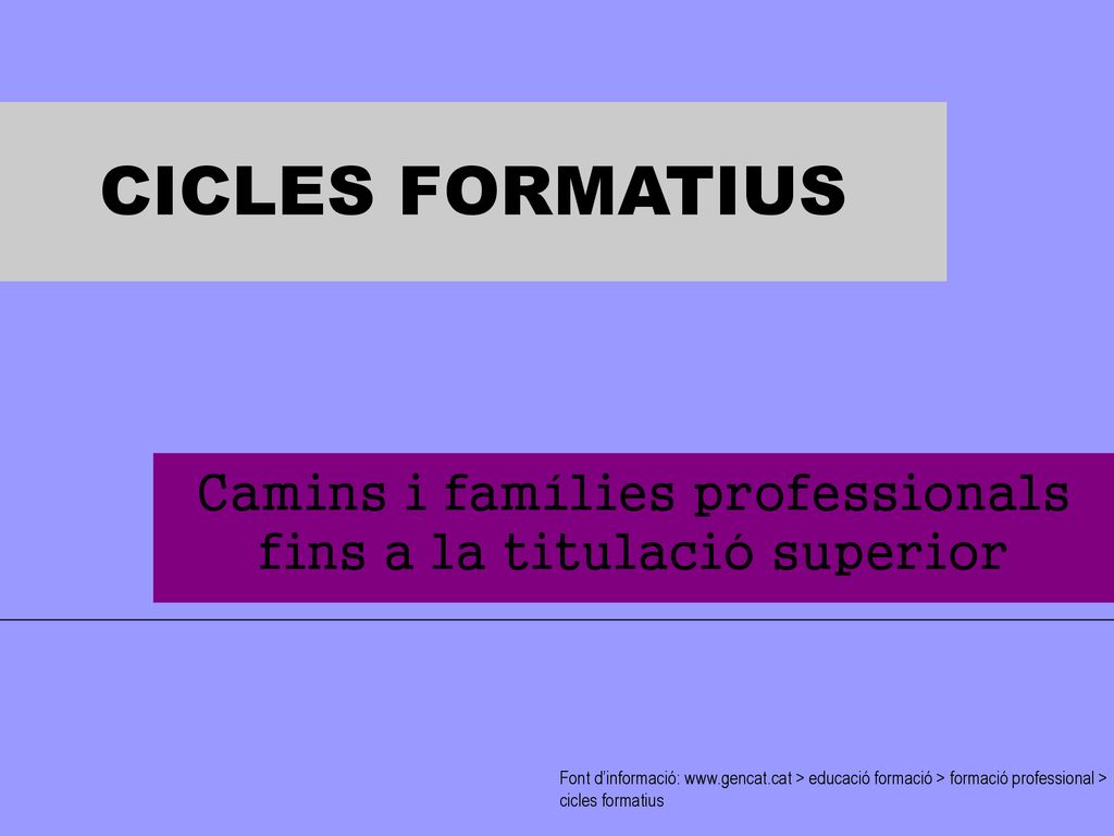 Camins i famílies professionals fins a la titulació superior