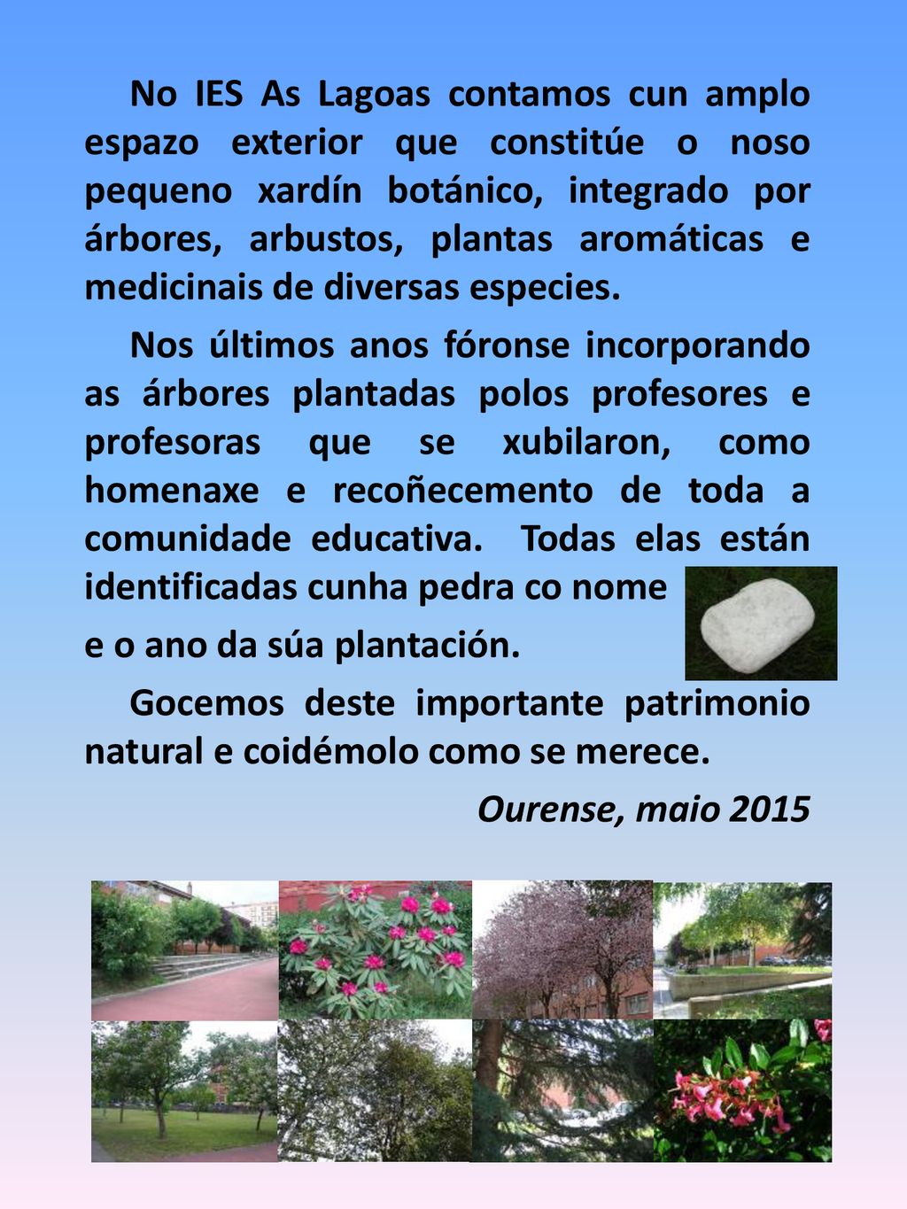 No IES As Lagoas contamos cun amplo espazo exterior que constitúe o noso pequeno xardín botánico, integrado por árbores, arbustos, plantas aromáticas e medicinais de diversas especies.