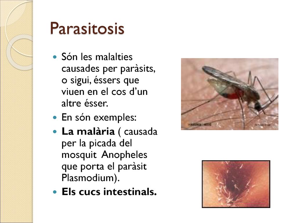 Parasitosis Són les malalties causades per paràsits, o sigui, éssers que viuen en el cos d’un altre ésser.