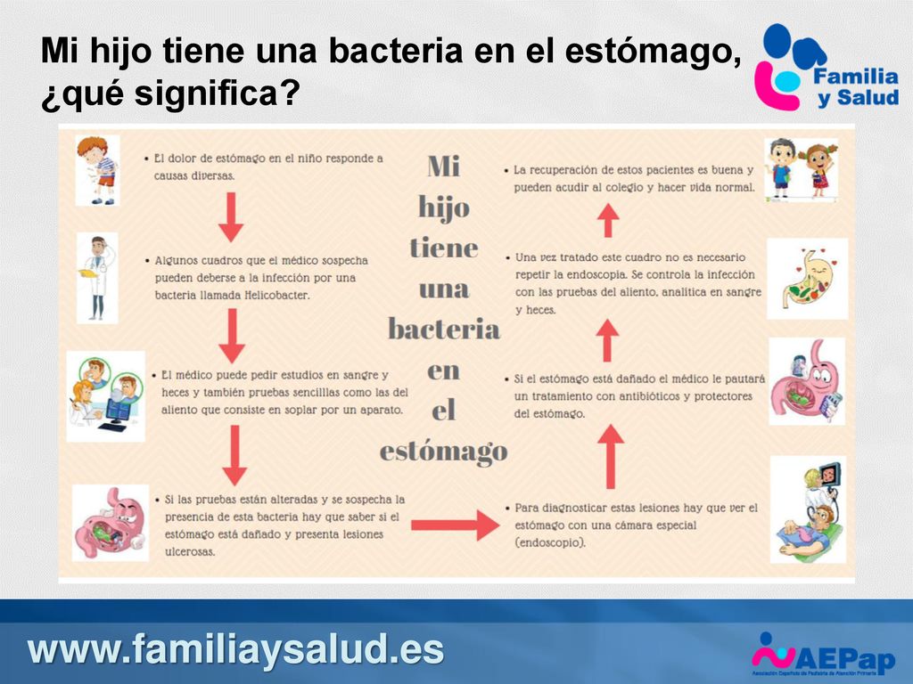 Mi hijo tiene una bacteria en el estómago, ¿qué significa