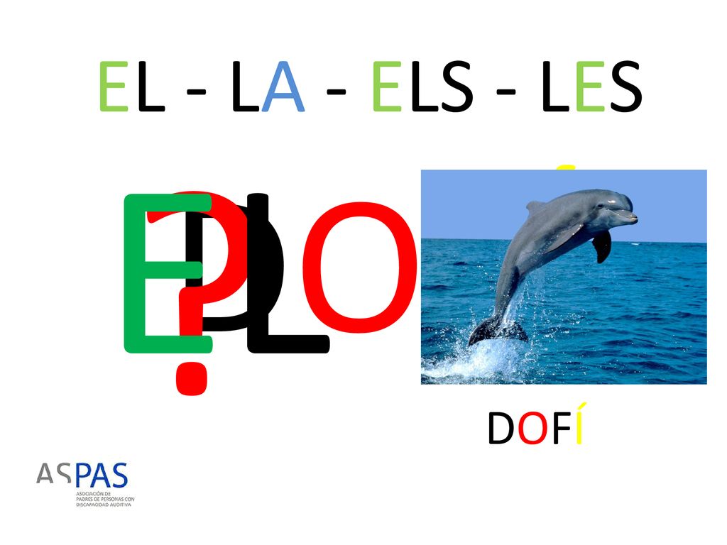 EL - LA - ELS - LES EL DOFÍ DOFÍ