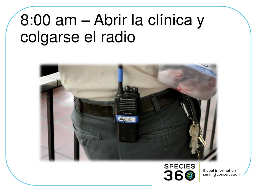 8:00 am – Abrir la clínica y colgarse el radio