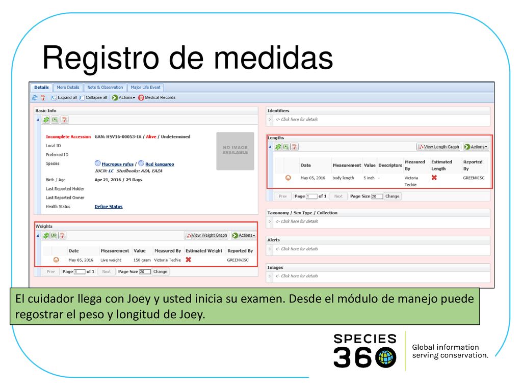 Registro de medidas El cuidador llega con Joey y usted inicia su examen.