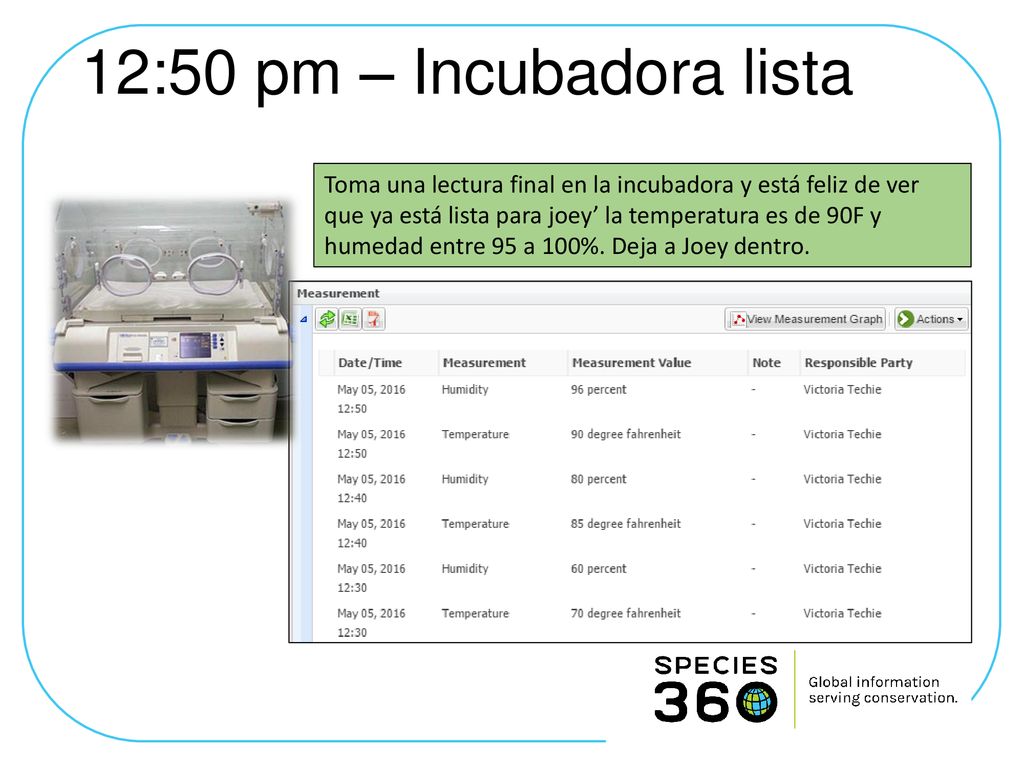 12:50 pm – Incubadora lista
