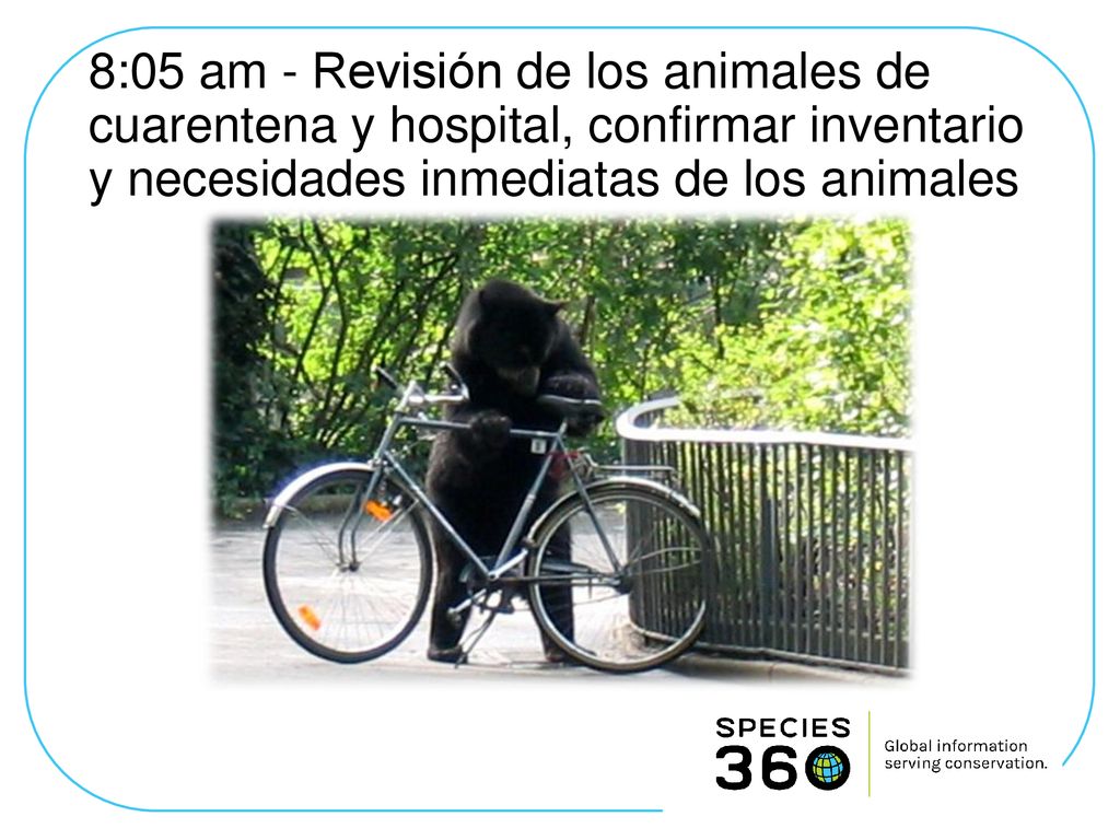 8:05 am - Revisión de los animales de cuarentena y hospital, confirmar inventario y necesidades inmediatas de los animales