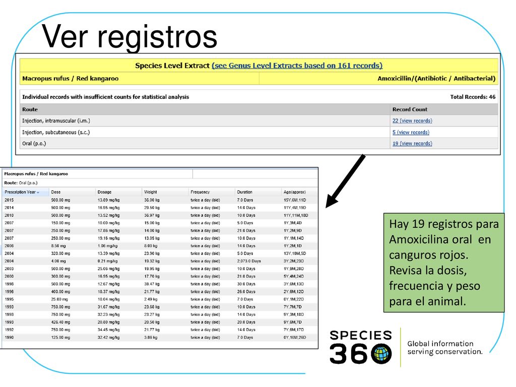 Ver registros Hay 19 registros para Amoxicilina oral en canguros rojos.