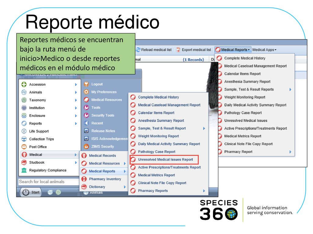 Reporte médico Reportes médicos se encuentran bajo la ruta menú de inicio>Medico o desde reportes médicos en el módulo médico.