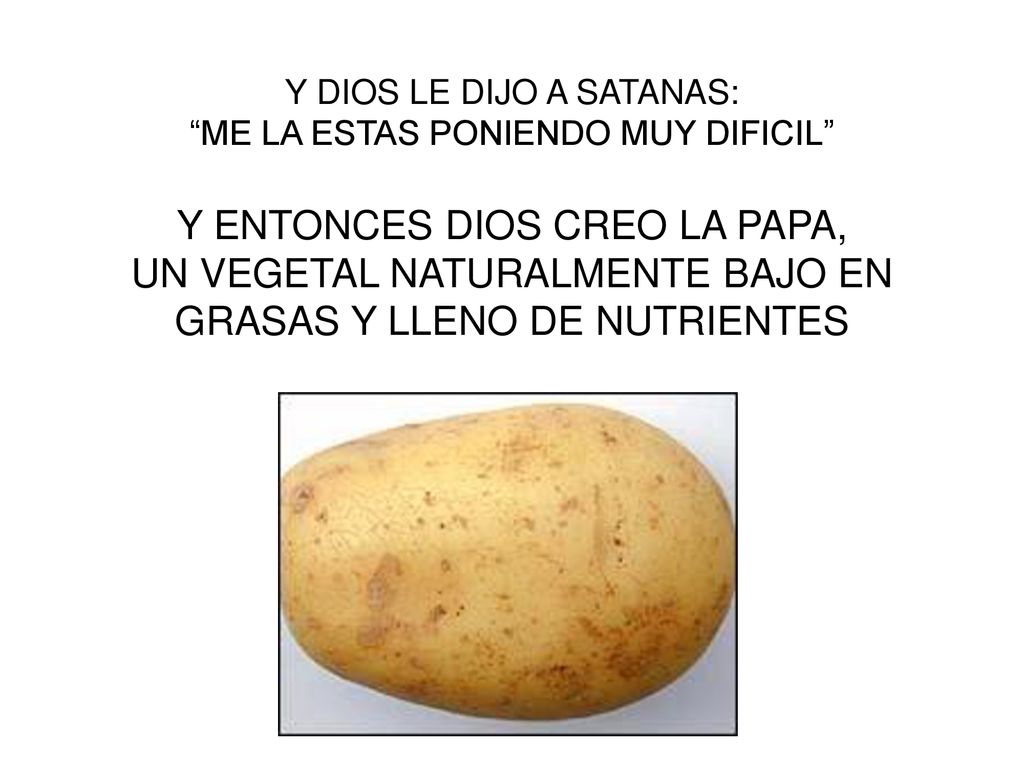 Y DIOS LE DIJO A SATANAS: ME LA ESTAS PONIENDO MUY DIFICIL Y ENTONCES DIOS CREO LA PAPA, UN VEGETAL NATURALMENTE BAJO EN GRASAS Y LLENO DE NUTRIENTES