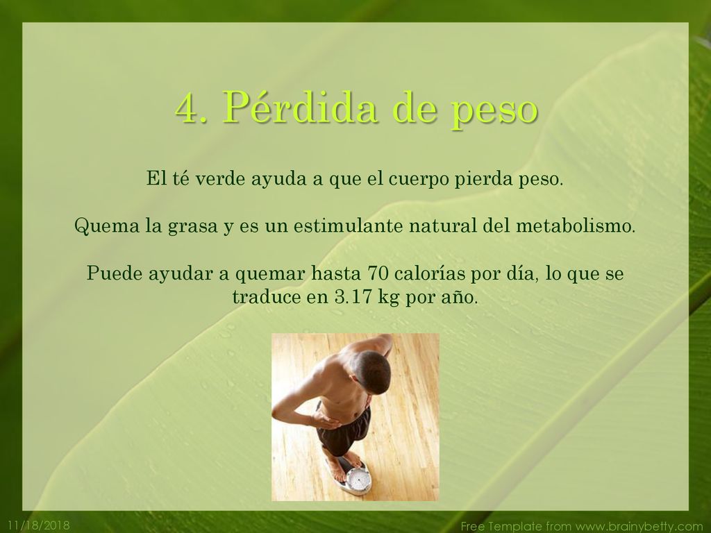 4. Pérdida de peso El té verde ayuda a que el cuerpo pierda peso.