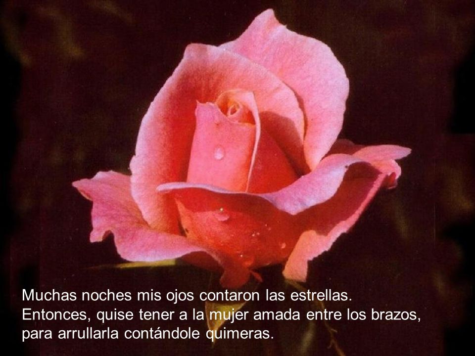 Muchas noches mis ojos contaron las estrellas.