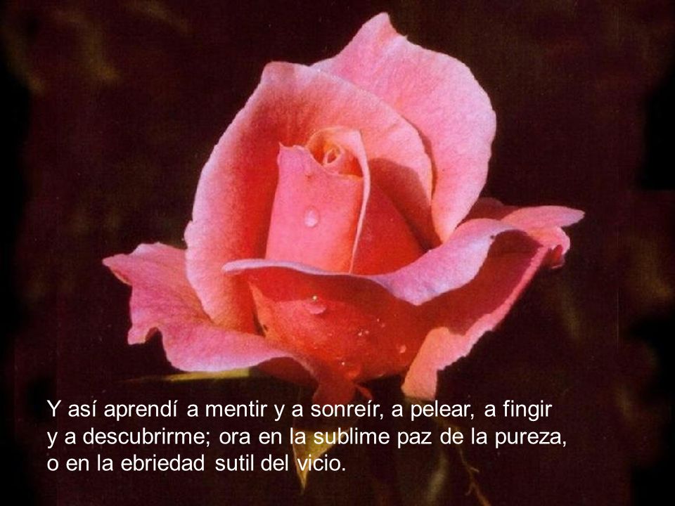Y así aprendí a mentir y a sonreír, a pelear, a fingir