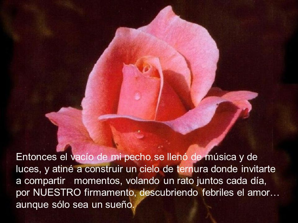 Entonces el vacío de mi pecho se llenó de música y de luces, y atiné a construir un cielo de ternura donde invitarte a compartir momentos, volando un rato juntos cada día, por NUESTRO firmamento, descubriendo febriles el amor… aunque sólo sea un sueño.