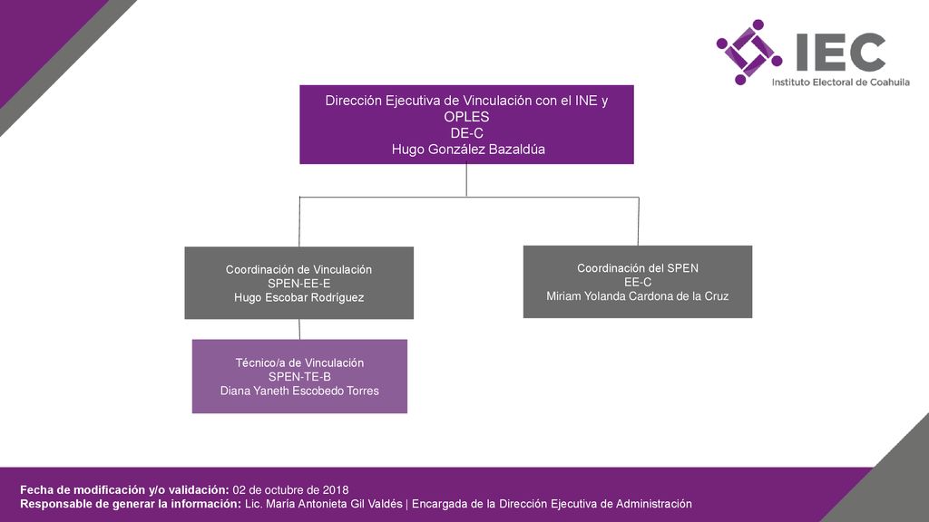 Dirección Ejecutiva de Vinculación con el INE y OPLES DE-C