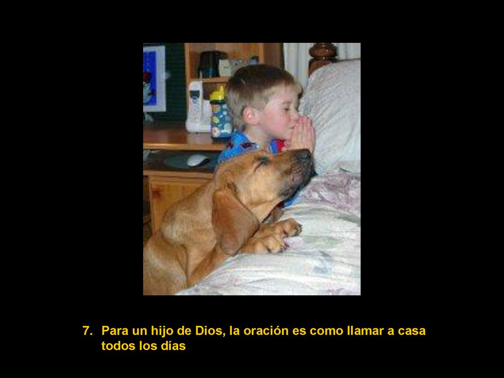 Para un hijo de Dios, la oración es como llamar a casa todos los días