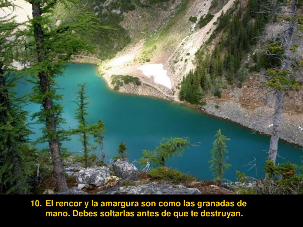 El rencor y la amargura son como las granadas de mano