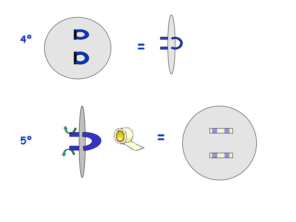 4º = = 5º. Desarrollo 2. 4º Pedimos a los niños que introduzcan las dos asas por las que acabamos de hacer.