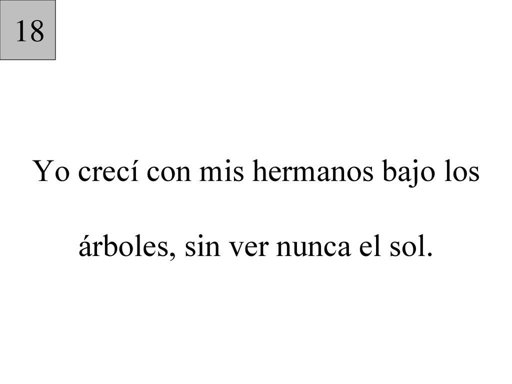 Yo crecí con mis hermanos bajo los árboles, sin ver nunca el sol.