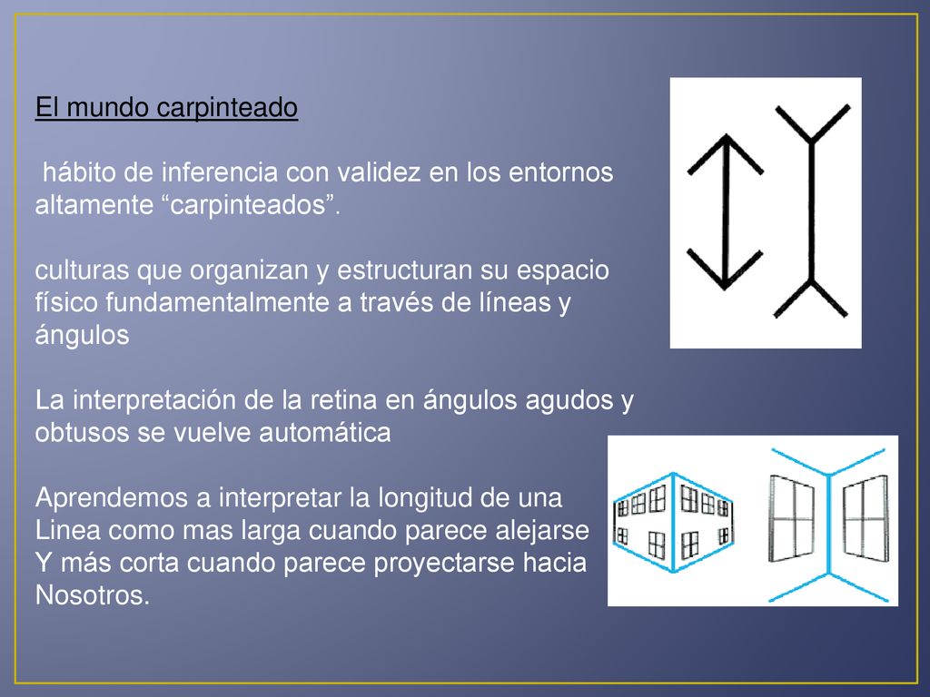 El mundo carpinteado hábito de inferencia con validez en los entornos altamente carpinteados .