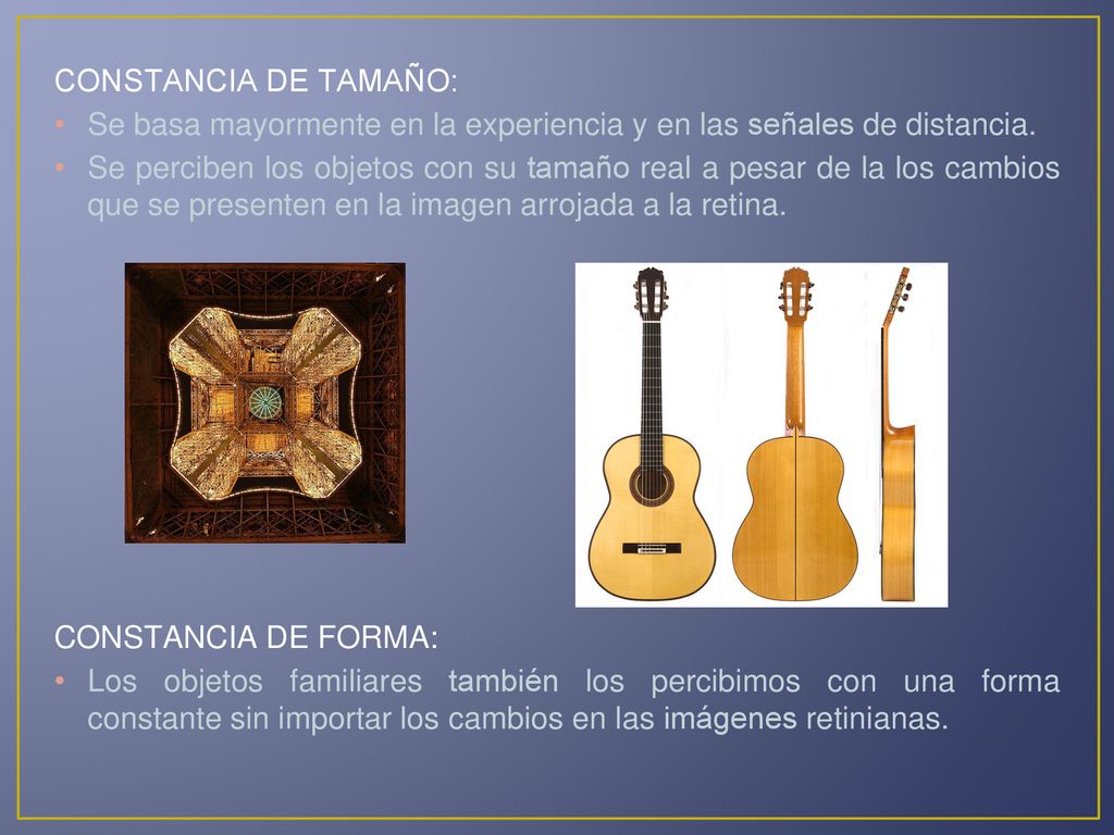 CONSTANCIA DE TAMAÑO: Se basa mayormente en la experiencia y en las señales de distancia.