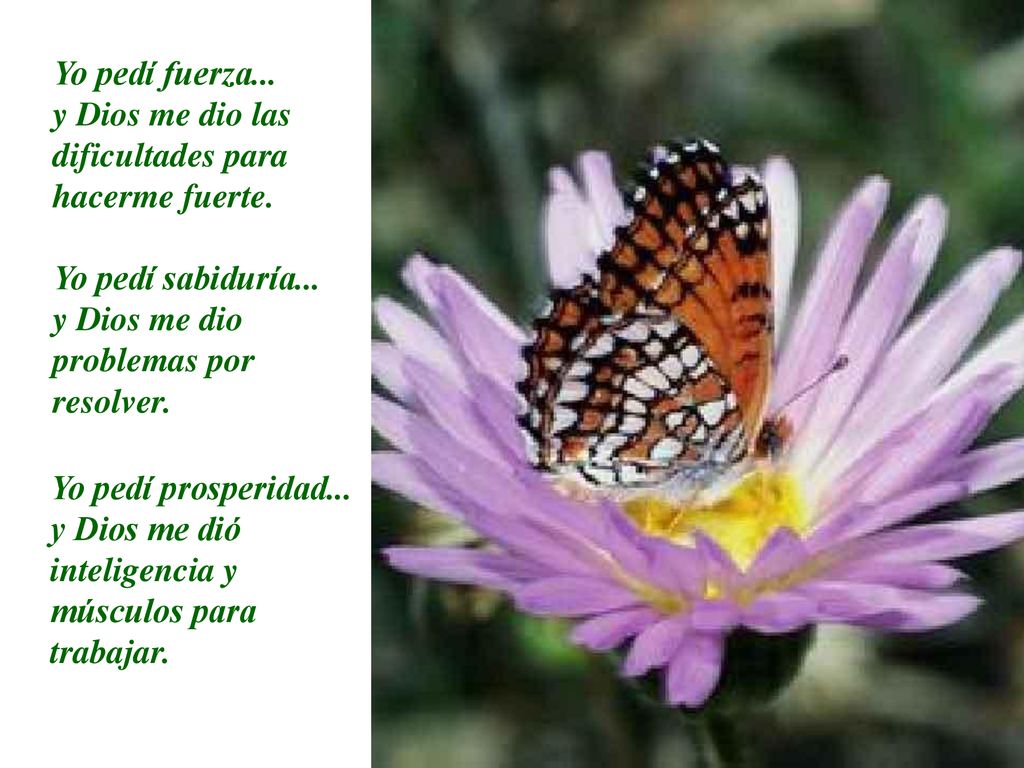 Yo pedí fuerza... y Dios me dio las dificultades para hacerme fuerte. Yo pedí sabiduría... y Dios me dio problemas por resolver.