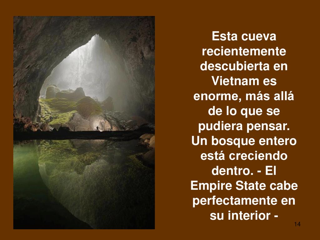 Esta cueva recientemente descubierta en Vietnam es enorme, más allá de lo que se pudiera pensar.
