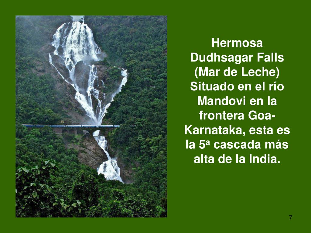 Hermosa Dudhsagar Falls (Mar de Leche) Situado en el río Mandovi en la frontera Goa-Karnataka, esta es la 5a cascada más alta de la India.