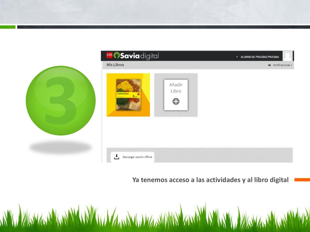 3 Ya tenemos acceso a las actividades y al libro digital