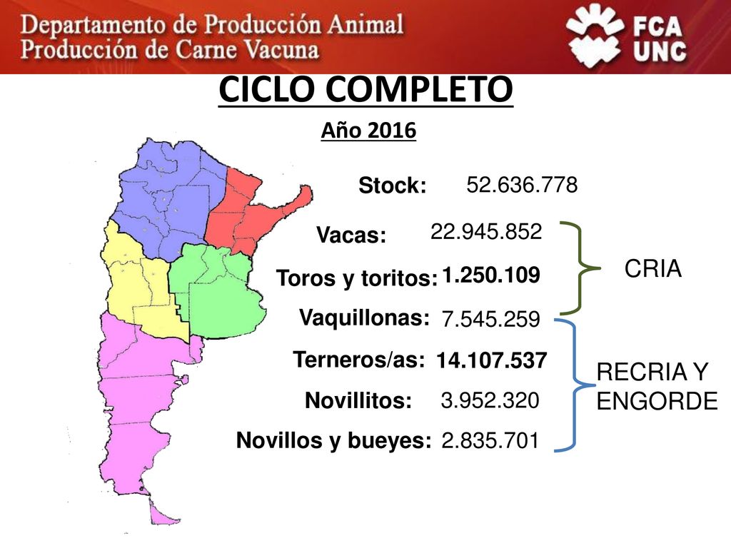 CICLO COMPLETO Año 2016 CRIA RECRIA Y ENGORDE Stock: Vacas: