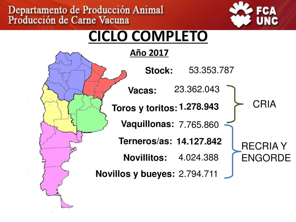 CICLO COMPLETO Año 2017 CRIA RECRIA Y ENGORDE Stock: Vacas: