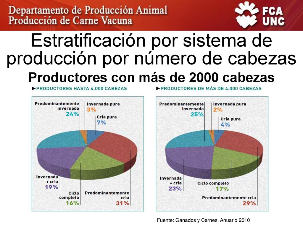 Productores con más de 2000 cabezas