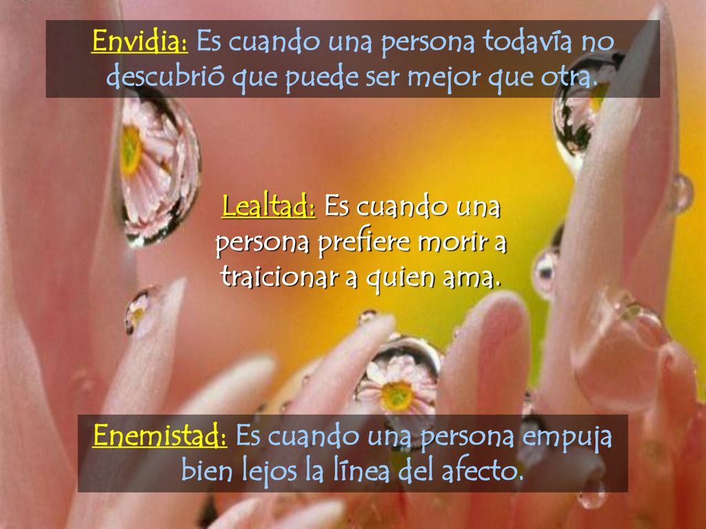 Envidia: Es cuando una persona todavía no descubrió que puede ser mejor que otra.