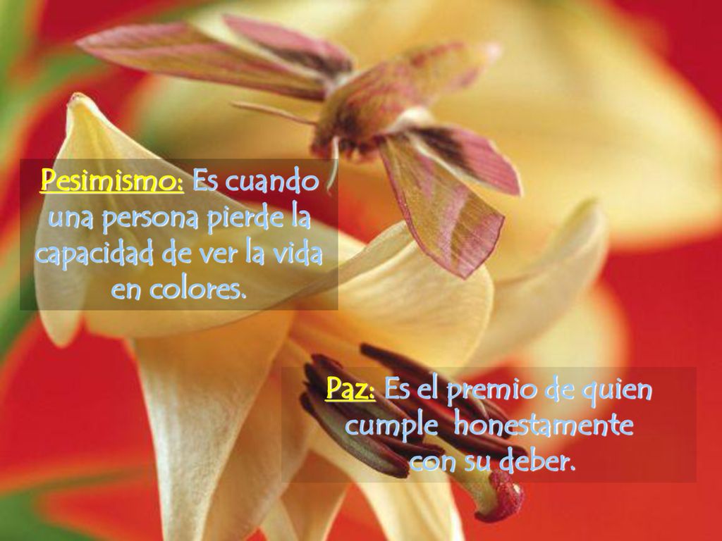 una persona pierde la capacidad de ver la vida en colores.