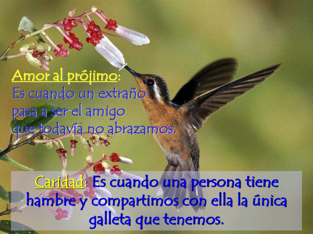 Amor al prójimo: Es cuando un extraño. pasa a ser el amigo. que todavía no abrazamos.