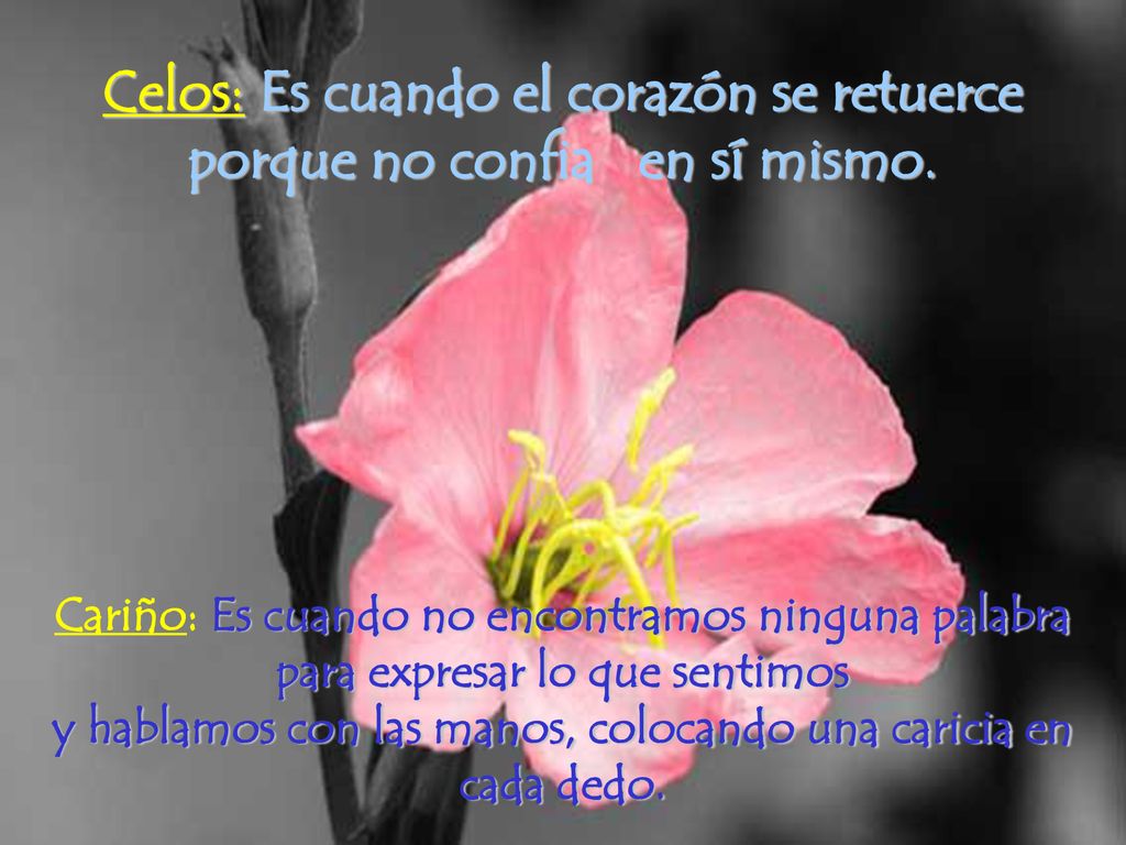 Celos: Es cuando el corazón se retuerce porque no confia en sí mismo.