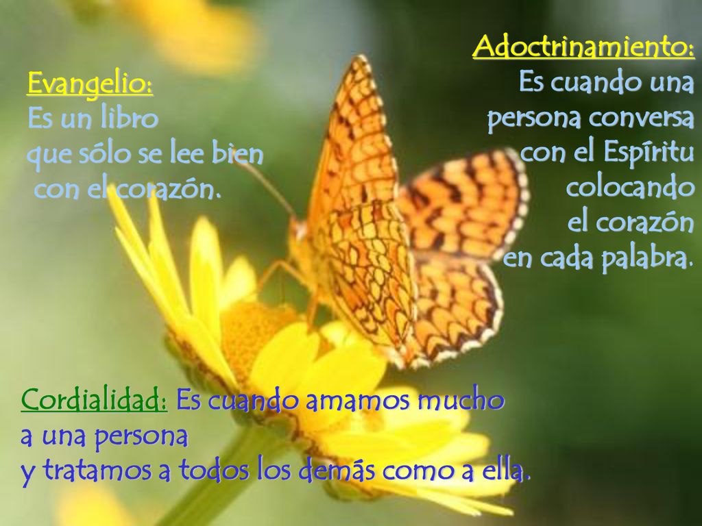 Adoctrinamiento: Es cuando una persona conversa con el Espíritu colocando