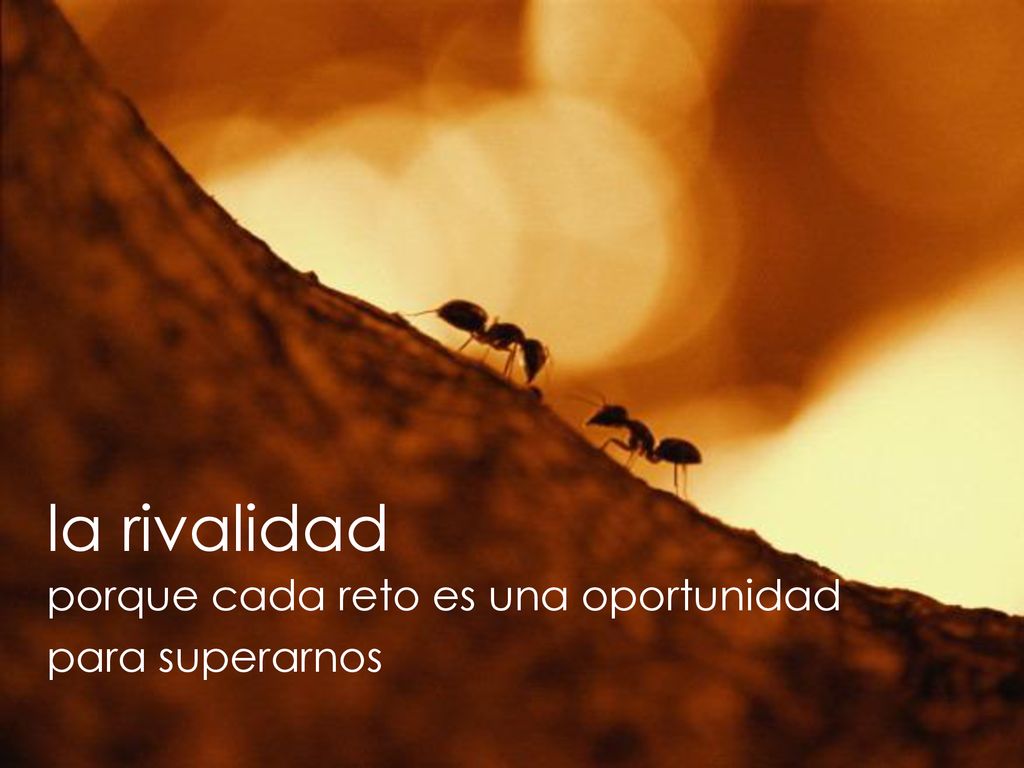 la rivalidad porque cada reto es una oportunidad para superarnos
