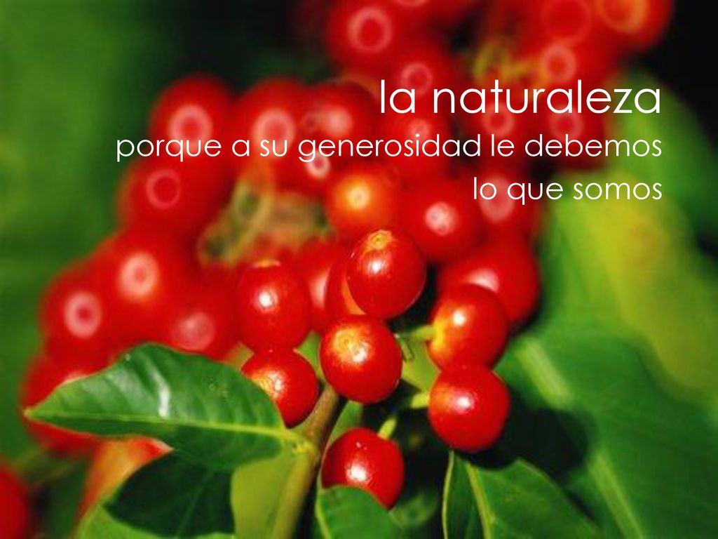 la naturaleza porque a su generosidad le debemos lo que somos