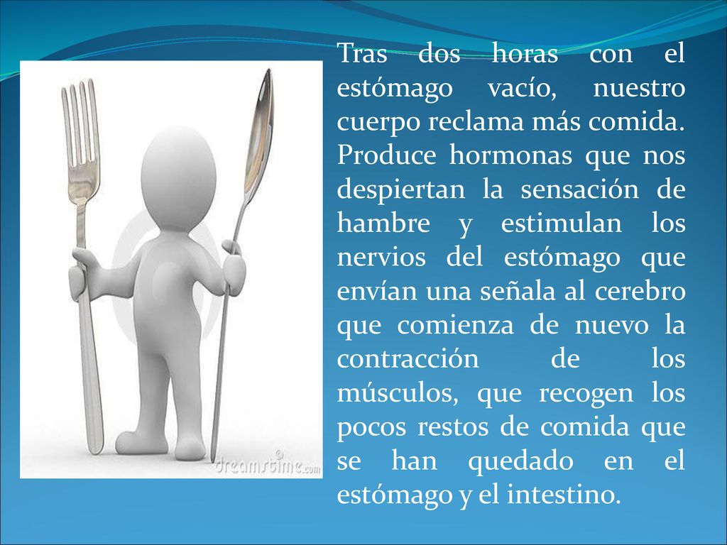 Tras dos horas con el estómago vacío, nuestro cuerpo reclama más comida.