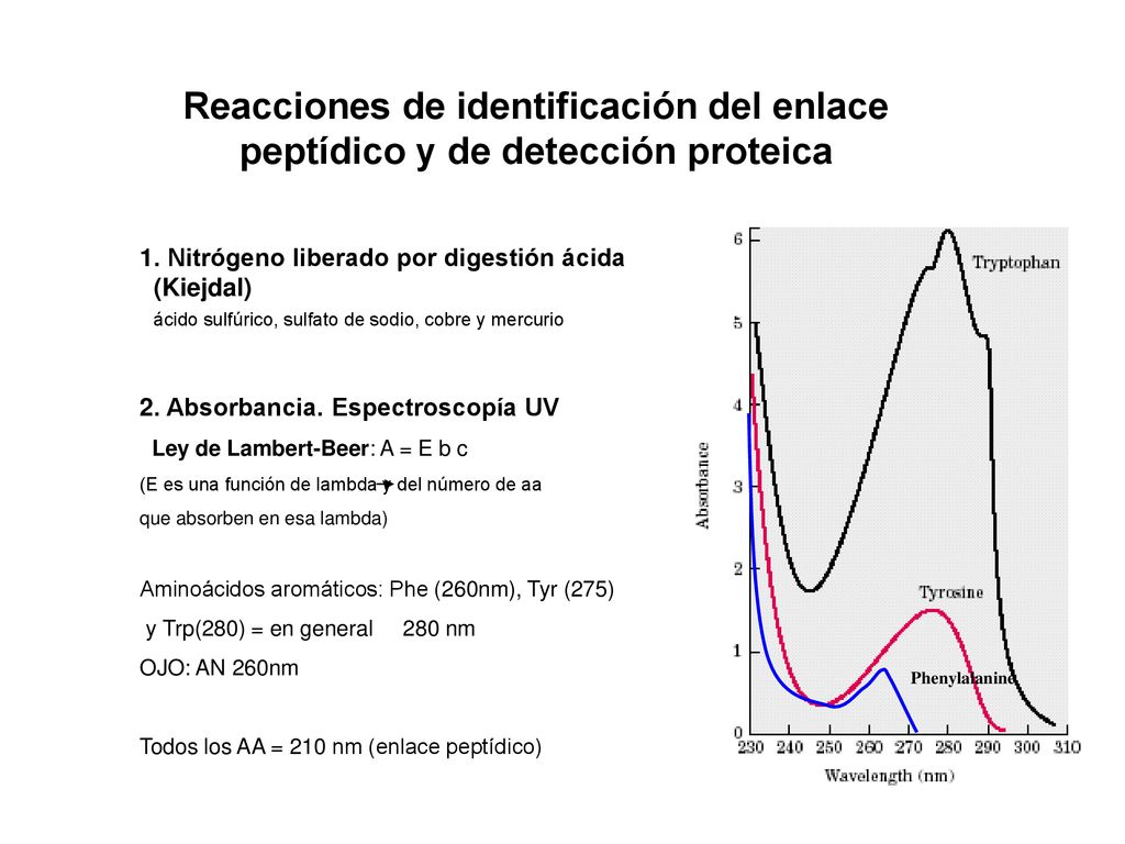 Reacciones de identificación del enlace peptídico y de detección proteica