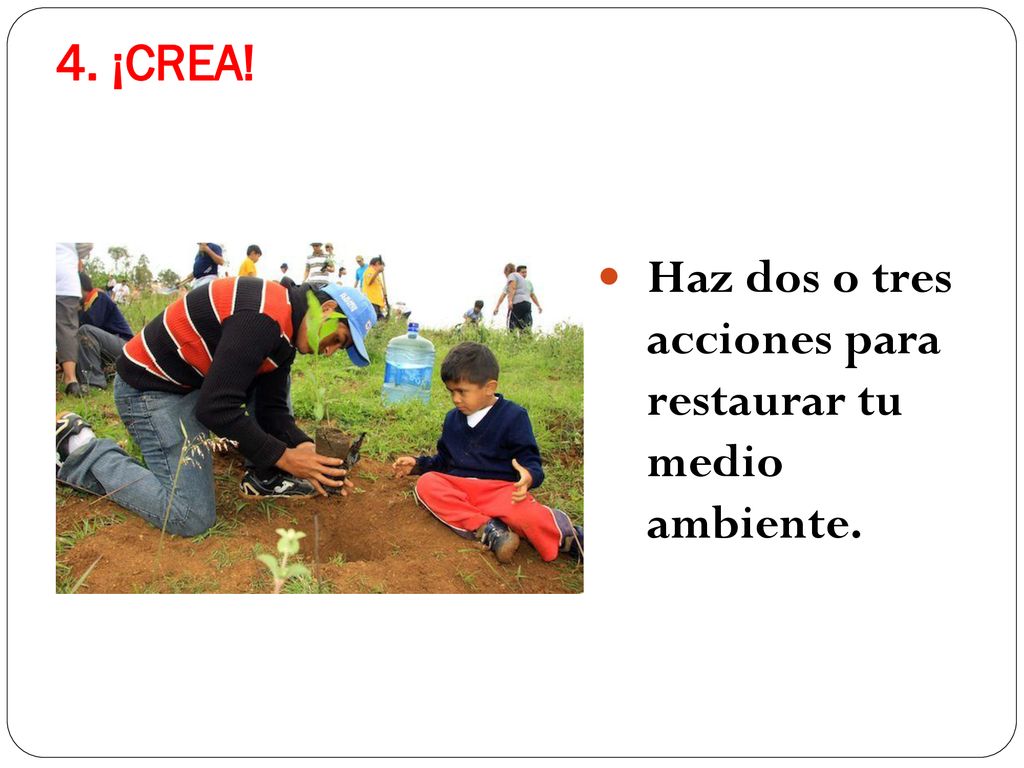 4. ¡CREA! Haz dos o tres acciones para restaurar tu medio ambiente.