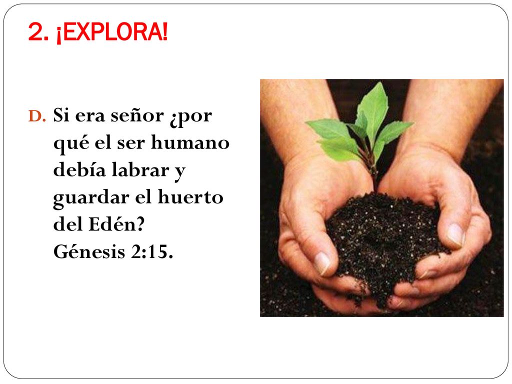 2. ¡EXPLORA. Si era señor ¿por qué el ser humano debía labrar y guardar el huerto del Edén.